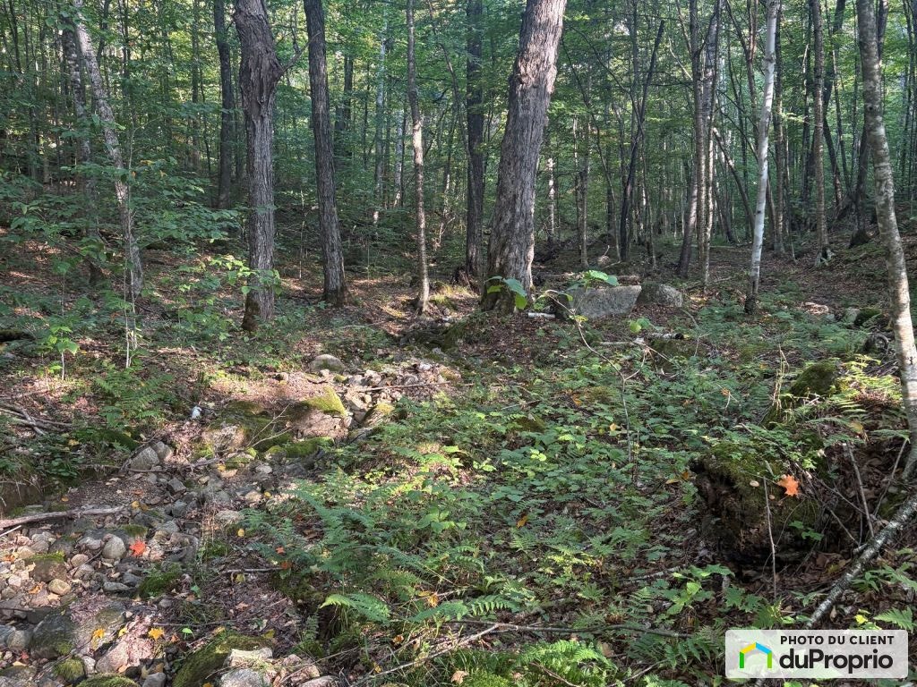 $185,000 - Residential Lot for sale in Lac-Tremblant-Nord — photo 2