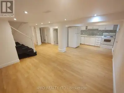 BASEMENT - 17 CARRICK AVENUE Hamilton (Stipley), Ontario