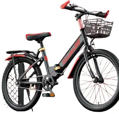 Teens' Aluminum Folding Bike with Variable Speed, View more