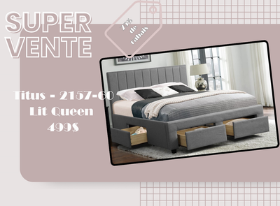 Lit Queen titus 2157, View more