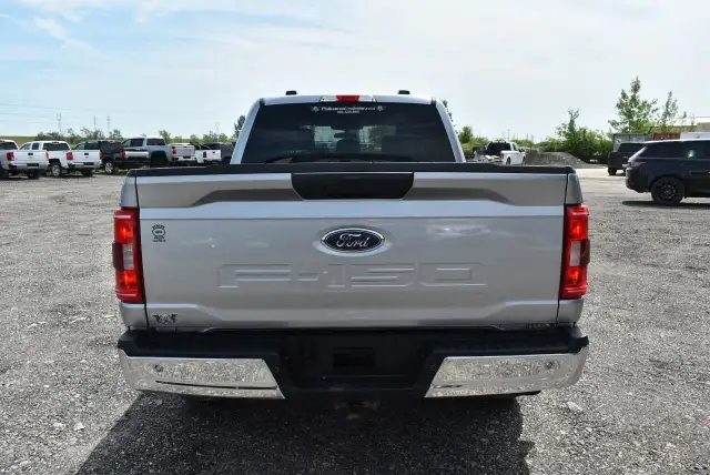 2023 Ford F-150 XLT - 6.5' BOX - 5.0L in Cars & Trucks in Winnipeg - Image 7