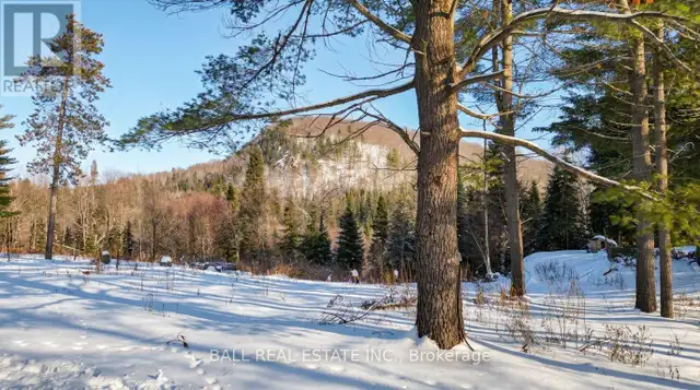 146 BUCK HILL ROAD Hastings Highlands (Monteagle Ward), Ontario in Houses for Sale in Trenton - Image 3