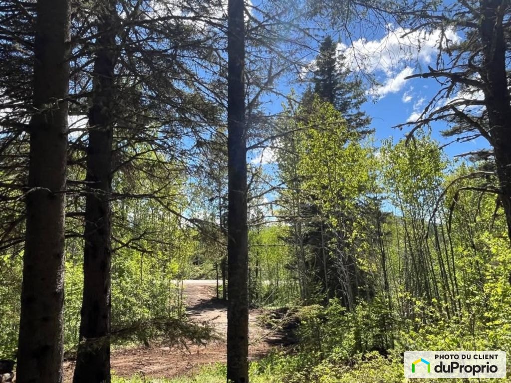 $47,000 - Price taxes not included - Residential Lot for sale — photo 2
