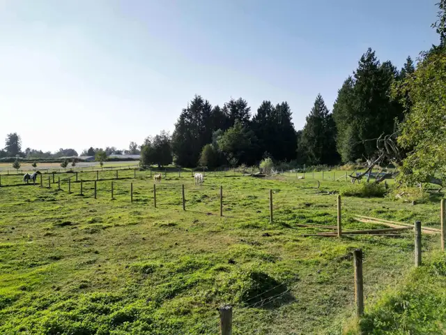 28927 BUCHANAN AVENUE Abbotsford, British Columbia in Land for Sale in Abbotsford - Image 27