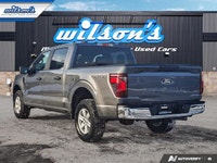Check out this certified 2024 Ford F-150 XL Crew 4X4 | 103A | CarPlay + Android | BSM | Hitch | Rear... (image 2)