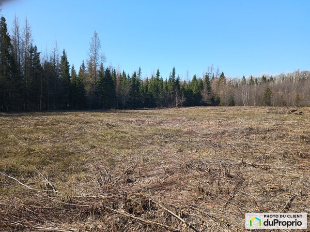 $100,000 - Residential Lot for sale in Larouche — photo 2