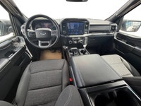 This Ford F-150 has a strong Regular Unleaded V6 3.5 L EcoBoost engine powering this Automatic trans... (image 8)