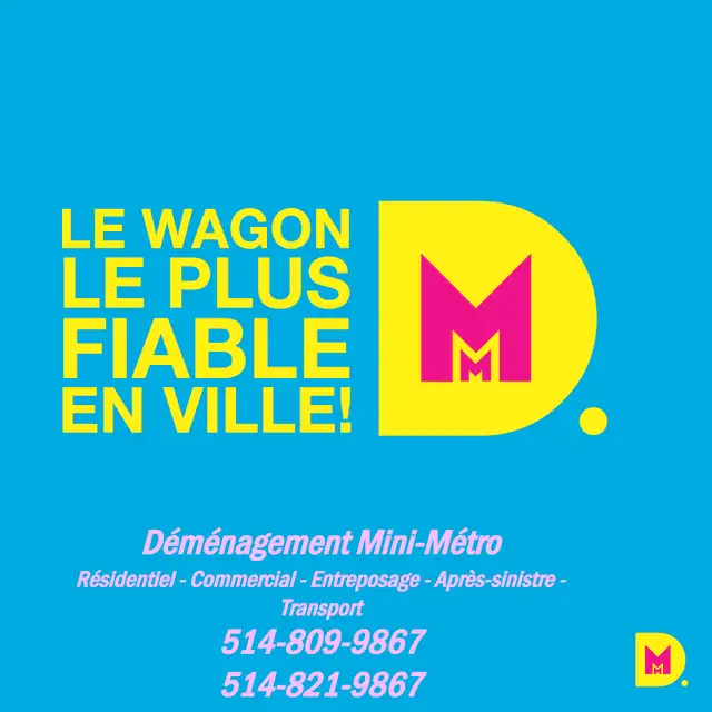 Relocation Mini Metro Inc 4.6 ⭐⭐⭐⭐⭐ (247 reviews) Google62863244119425127