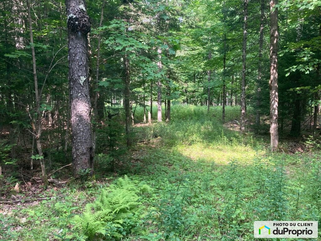 $279,000 - Land to be developed for sale in Labelle — photo 1