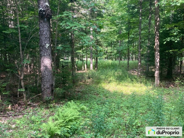 $279,000 - Land to be developed for sale in Labelle — photo 1
