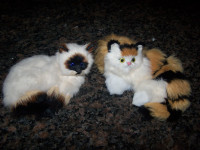 Taxidermy Realist Lifelike House Cats (2)