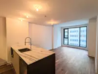 Brand new Studio condo in MAA Condominiums, Downtown Montreal. [