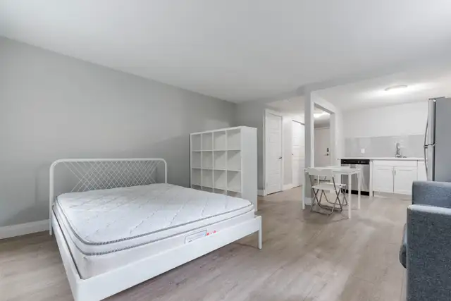 Cozy Bachelor Apartment | Kitchener | JUNE 202562864379997313124