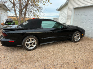 2000 Pontiac Trans Am