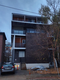466 Nelson Street - 3 - 4 Bedroom Apartment for Rent