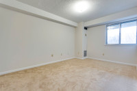 1 Bed, 1 Bath, Spacious, Air-Conditioned, Recently Renovated Kitchen with Stainless Steel Appliances... (image 5)