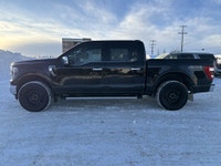 AMVIC Licensed Dealer AMVIC Licensed Dealer Stock # T4324193A Kick off your next adventure in the ru... (image 4)