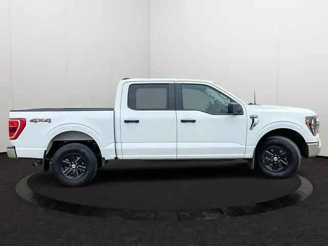 2023 Ford F-150 XLT | Accident Free CarFax | in Cars & Trucks in Edmonton - Image 8