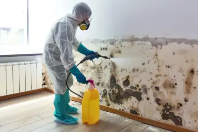 ASBESTOS REMOVAL mold 416-833-3633 20% offCALL NOW, View more