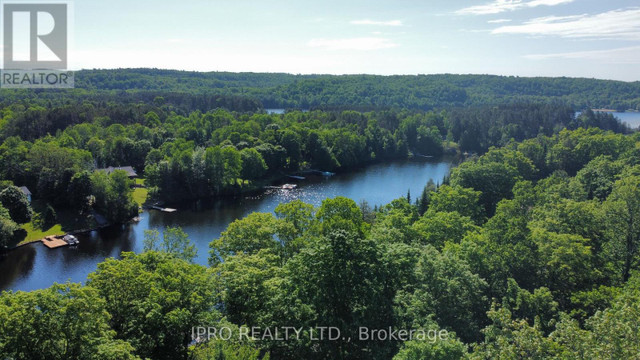 1093 GRACE RIVER RD Highlands East, Ontario in Houses for Sale in Kawartha Lakes - Image 4
