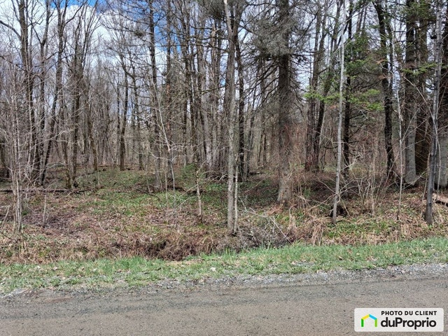 $66,000 - Residential Lot for sale in Weedon — photo 3