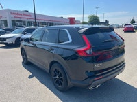 Come visit our London Honda team, you can find us at 560 Wharncliffe Rd S, London, ON, N6J 2N4, or c... (image 3)