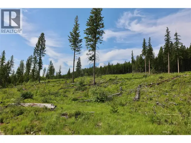 2375 BELCHROME FSR Road Bridesville, British Columbia in Land for Sale in Penticton - Image 12