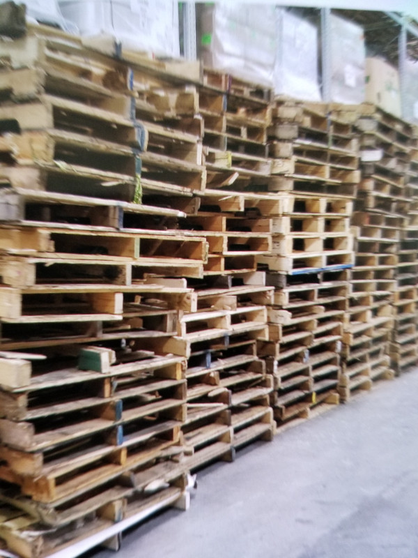 Pallets / Skids in Storage Containers in City of Toronto - Image 2