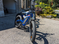 1500W Fat Tire Mountain eBike 67 km/h Free Shipping Warranty