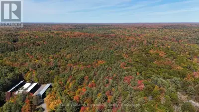 90+ acres, 5 minutes to Baysville. Perfectly situated on a year-round, municipally maintained road c...