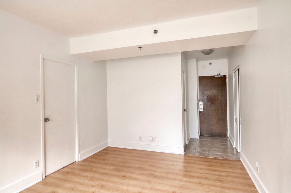 one bedroom apartment near McGill - ID 1096 5