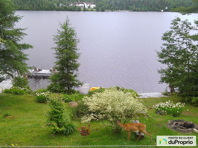 $735,000 - Cottage for sale in Lac-Superieur — photo 3