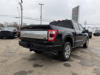 This Ford F-150 boasts a Regular Unleaded V6 3.5 L EcoBoost engine powering this Automatic transmiss... (image 4)