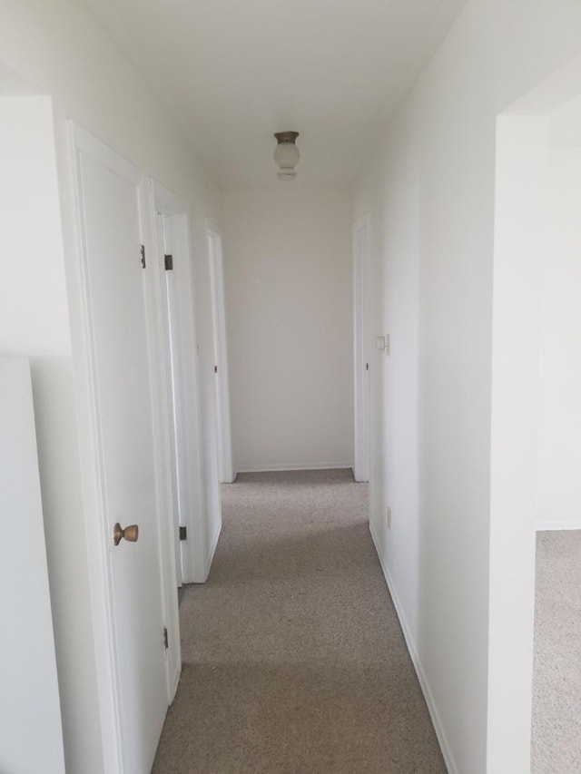 2 Bedroom Apartment MOUNT FOREST Long Term Rentals Guelph Kijiji