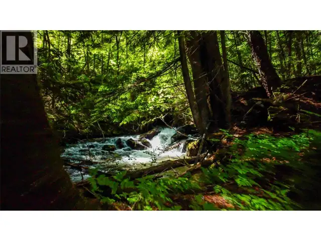 1750 Highway 23 South Highway S Revelstoke, British Columbia in Houses for Sale in Revelstoke - Image 5