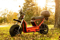 Daymak Beast 500W Off-Road Scooter $3495