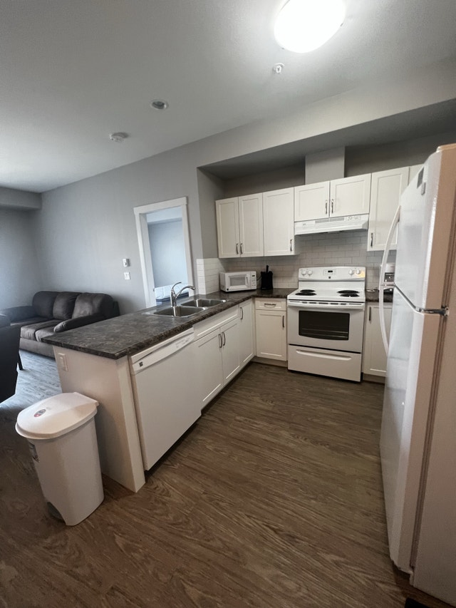 Grant Condo Fully Furnished or Unfurnised Available Now Long Term Rentals Fort St. John