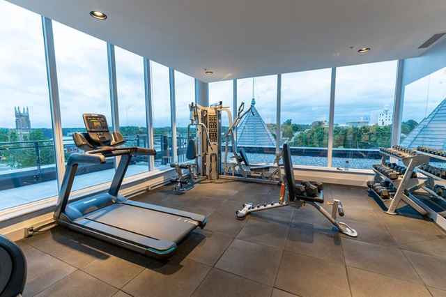 YLofts - 475 George St. N in Long Term Rentals in Peterborough - Image 8