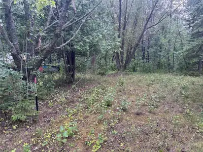 R26//Gimli Rm/*** Offers Anytime!! *** If you're looking for a nice treed lot for your own little va...