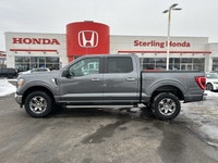 Designed for rugged performance and sophisticated comfort, the 2023 Ford F-150 XLT Crew, a stunning... (image 7)