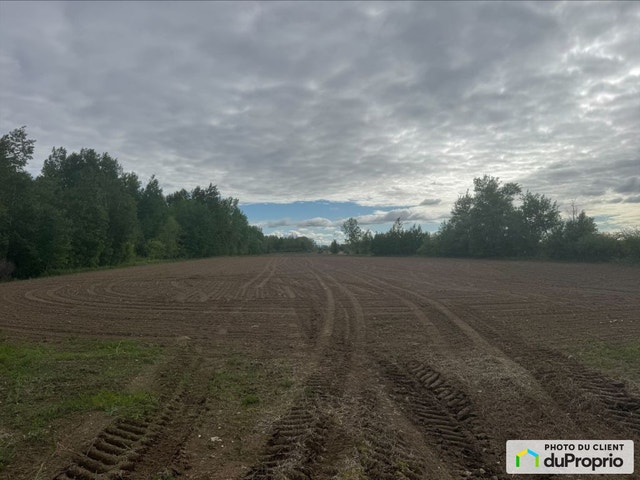 $600,000 - Arable Land for sale in St-Jacques-Le-Mineur — photo 1