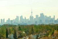 Live well at Main Square Apartments; perfectly located at Danforth and Main, surrounded by convenien... (image 8)