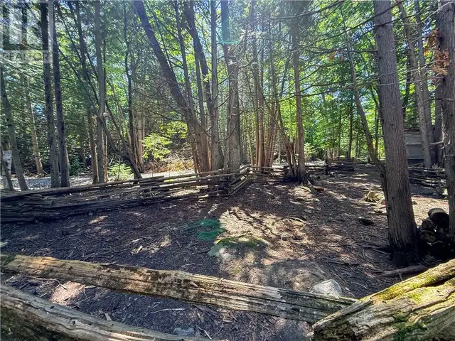 514C East Road Mindemoya, Manitoulin Island, Ontario in Land for Sale in Sudbury - Image 19