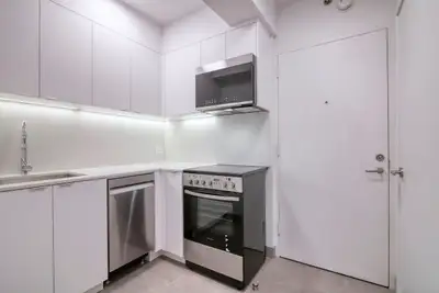 Renovated one bedroom apartment near McGill - ID 1348