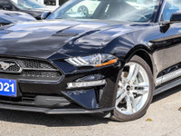 2021 Ford Mustang EcoBoost Premium One Owner | Accident-Free! Turn heads with this 2021 Mustang EcoB... (image 1)