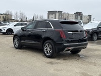 AMVIC Licensed Dealer * Heated Front Seats * Adaptive Remote Start * Panoramic Sunroof * Bose Audio... (image 5)