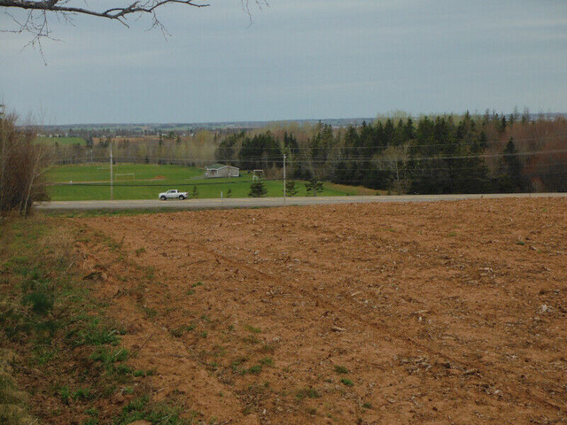 Rare 5 Plus Acre Lot in Stratford with a View!! in Land for Sale in Charlottetown - Image 3