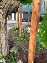 Fence Post Hole Digging & Building