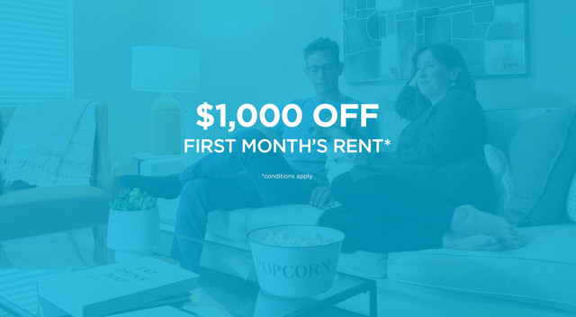 Pet-Friendly Two Bedroom One Bath with In-suite Laundry for Rent in Long Term Rentals in Edmonton