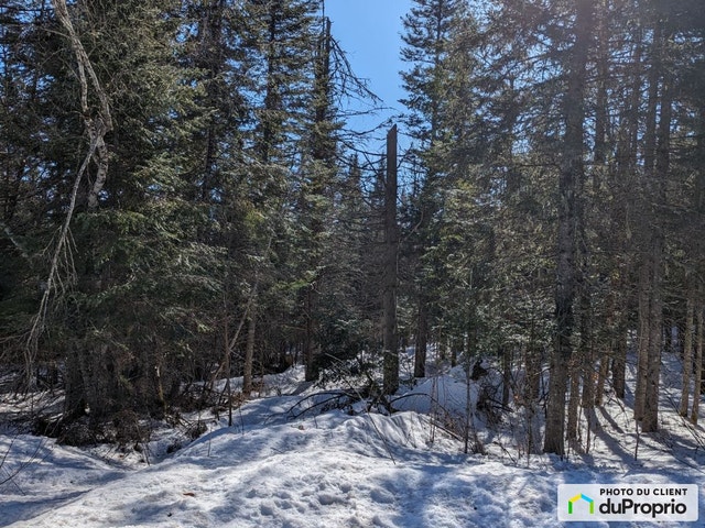 $175,000 - Residential Lot for sale in Chertsey — photo 1